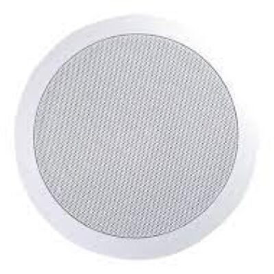 Ceiling Speaker(Master)